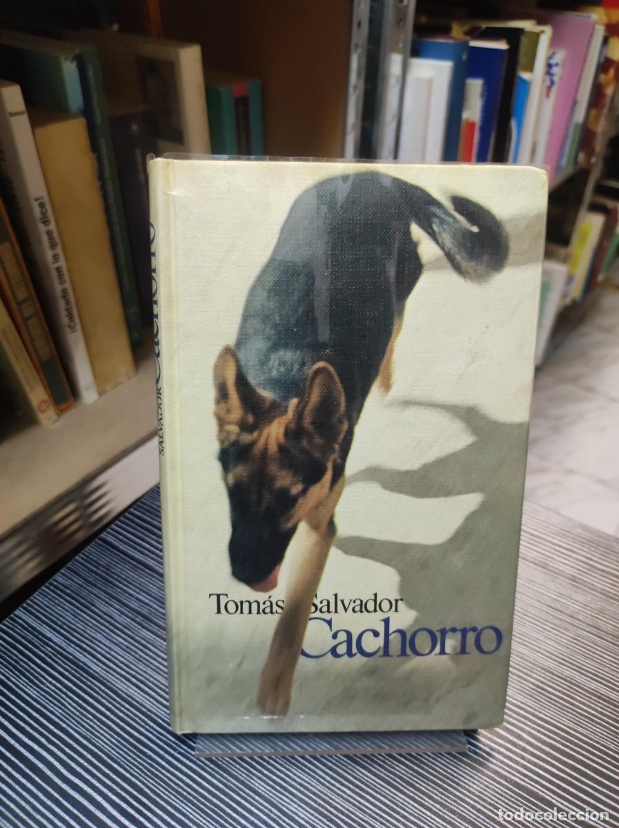 Libros: CACHORRO TOMAS SALVADOR - Foto 1