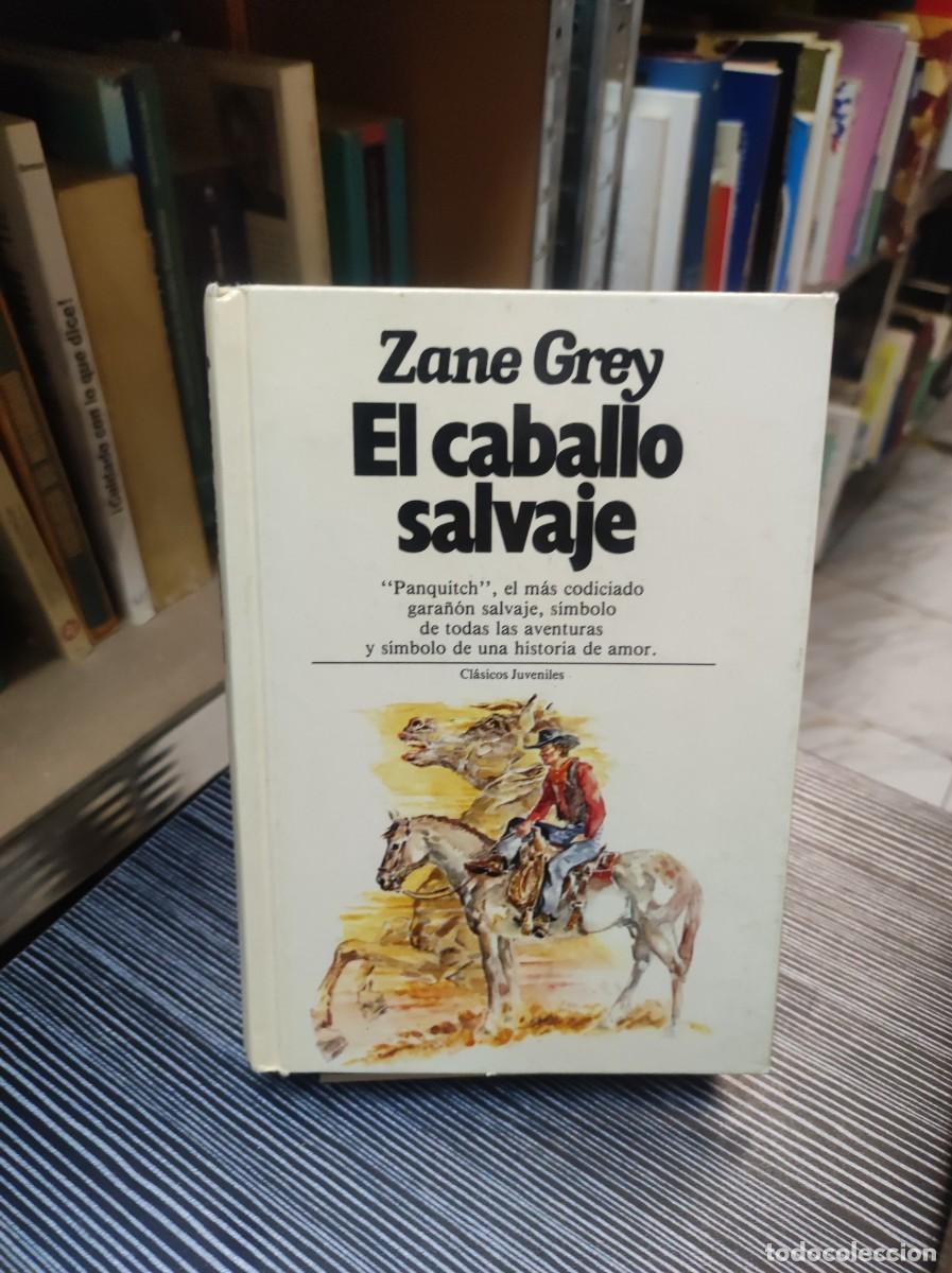 Libros: EL CABALLO SALVAJE ZANE GREY - Foto 1
