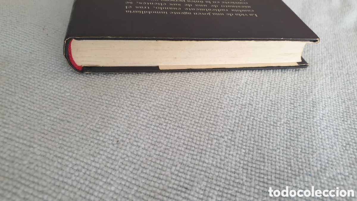 Libros: Testigo en la sombra. Mary Higgins Clark. - Foto 4