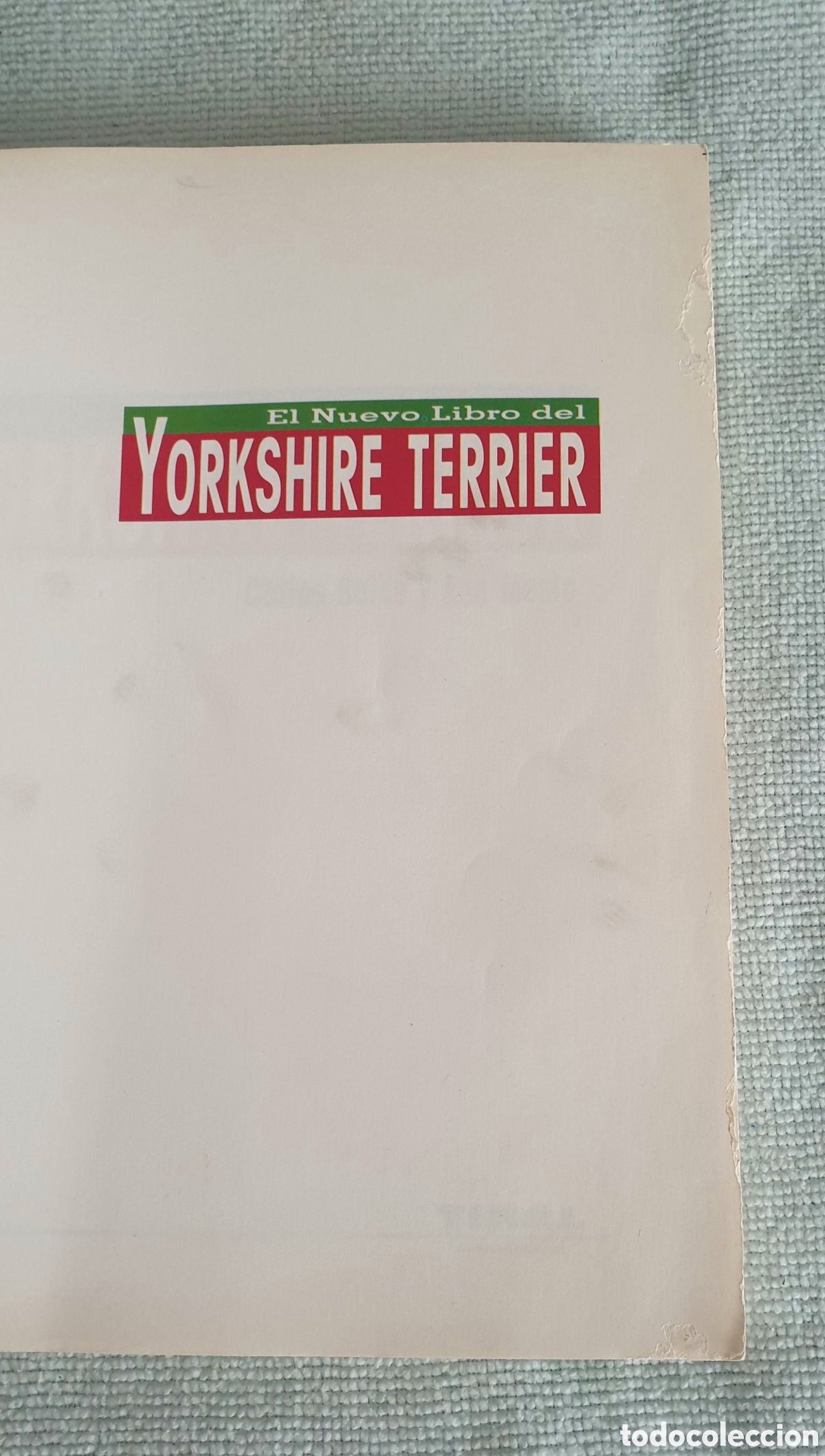 Libros: Yorkshire Terrier. Carlos Salas y Ana Maeso. - Foto 6
