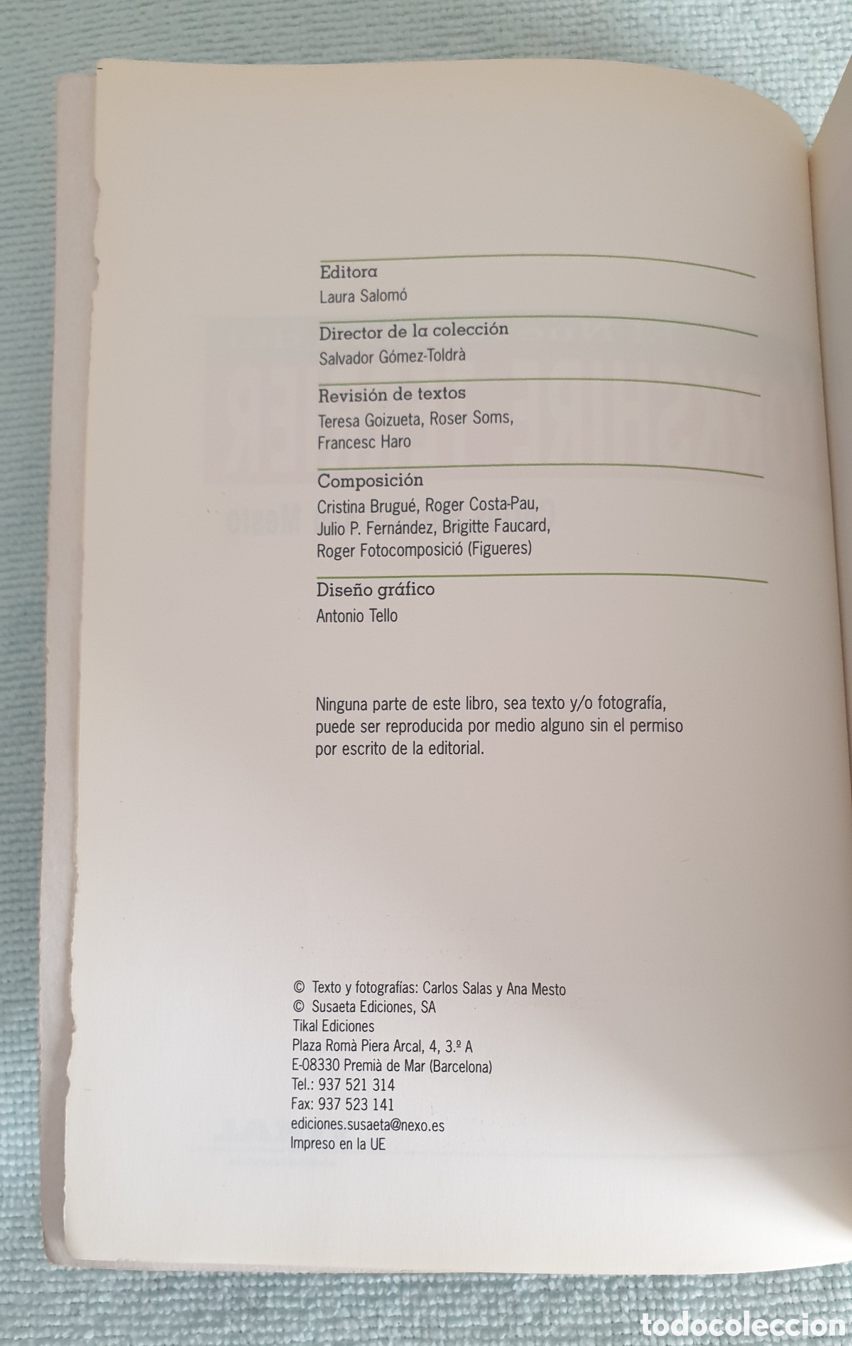 Libros: Yorkshire Terrier. Carlos Salas y Ana Maeso. - Foto 7