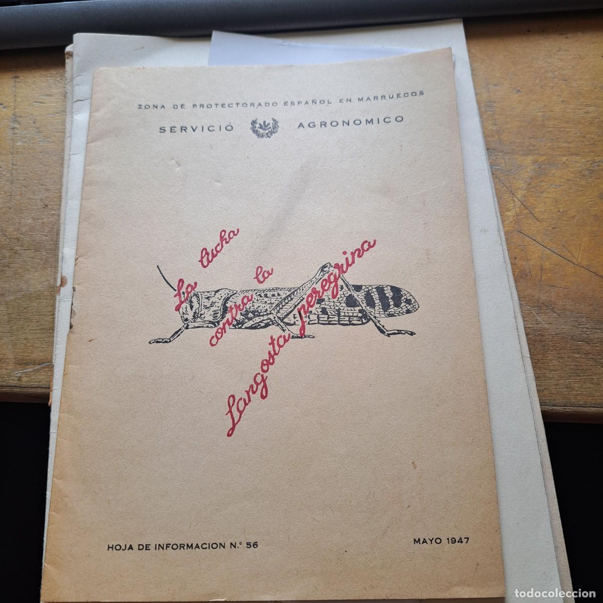 Libros: LA LUCHA CONTRA LA LANGOSTA PEREGRINA ZONA DE PROTECTORADO ESPA&Ntilde;OL EN MARRUECOS MAYO 1947 - 23 PA