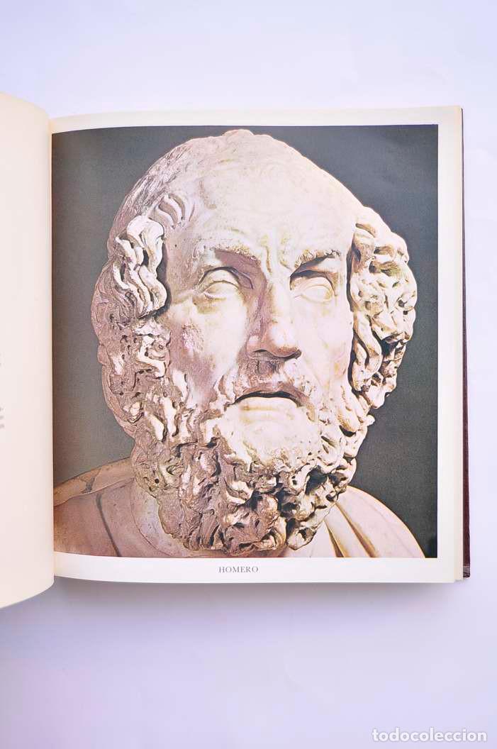 Libros: La Iliada - antolog&iacute;a de La Odisea - HOMERO - Foto 3