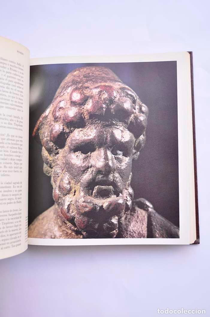 Libros: La Iliada - antolog&iacute;a de La Odisea - HOMERO - Foto 4
