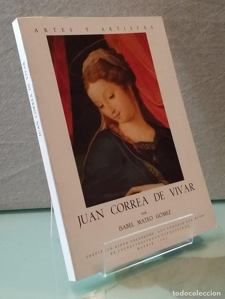Libros: Juan Correa de Vivar - Isabel Mateo G&oacute;mez - Foto 1