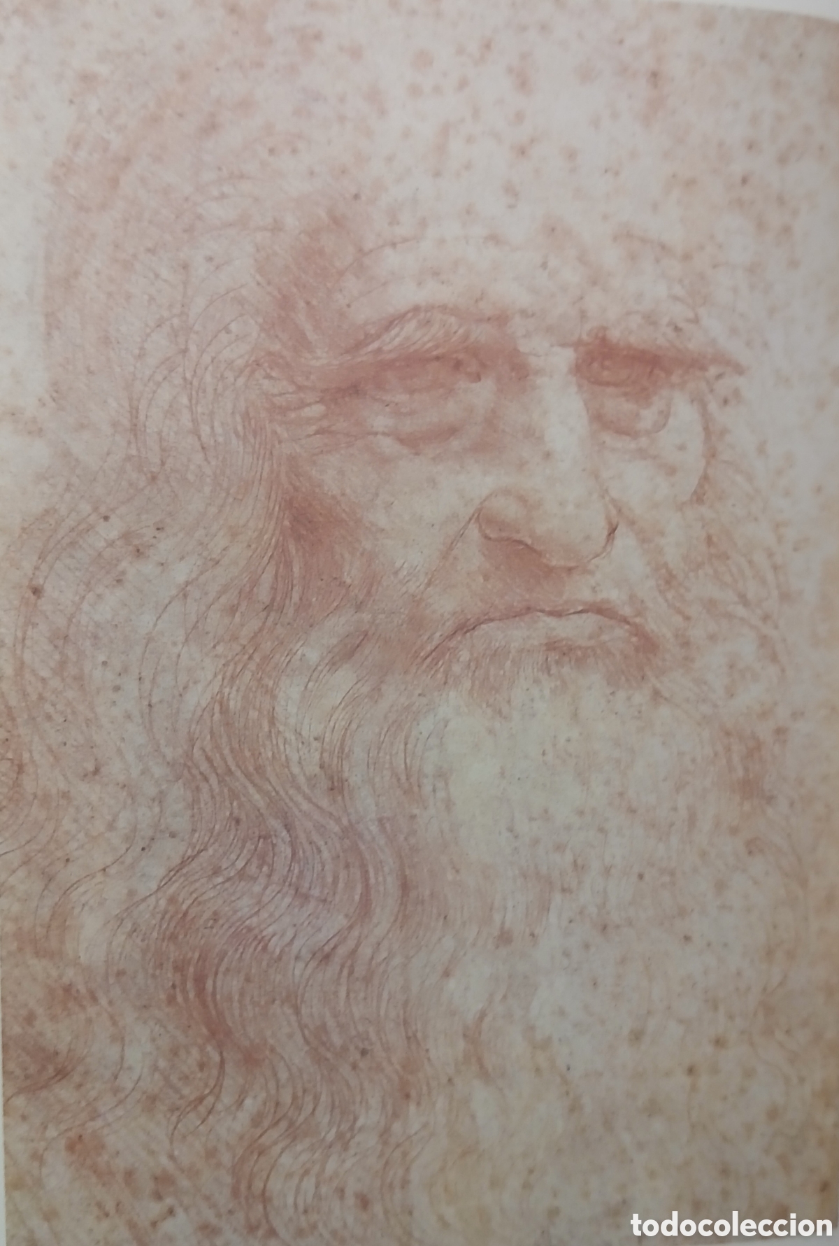 Libros: Leonardo da Vinci, Cuadernos - Foto 3