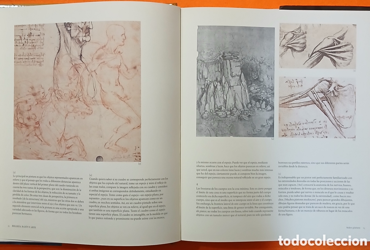 Libros: Leonardo da Vinci, Cuadernos - Foto 4