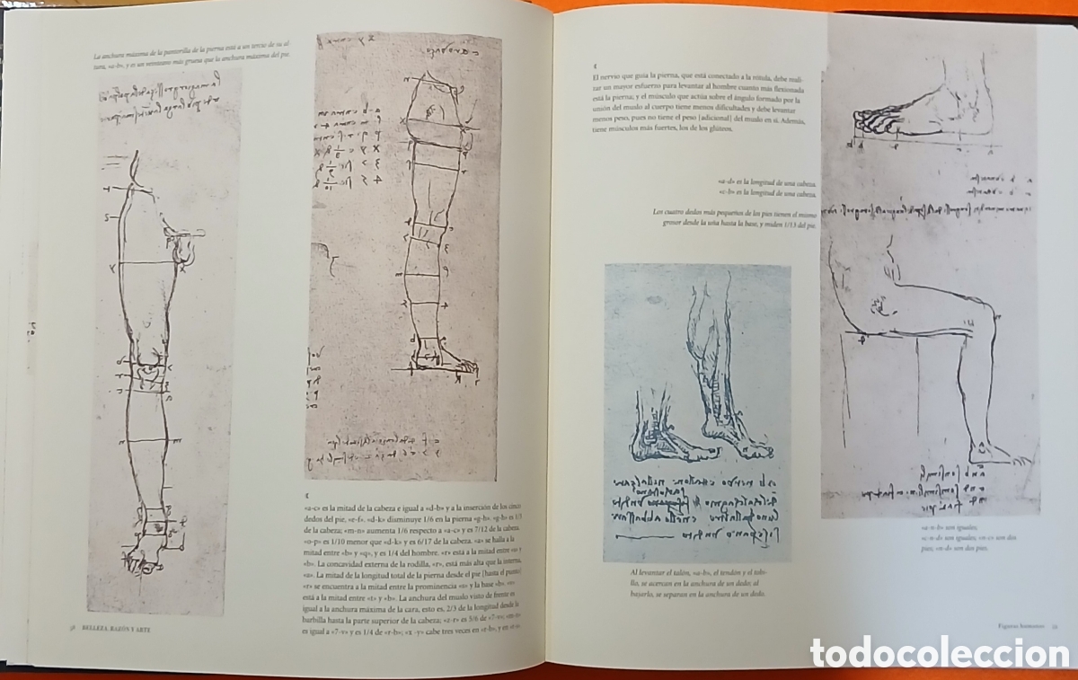 Libros: Leonardo da Vinci, Cuadernos - Foto 5