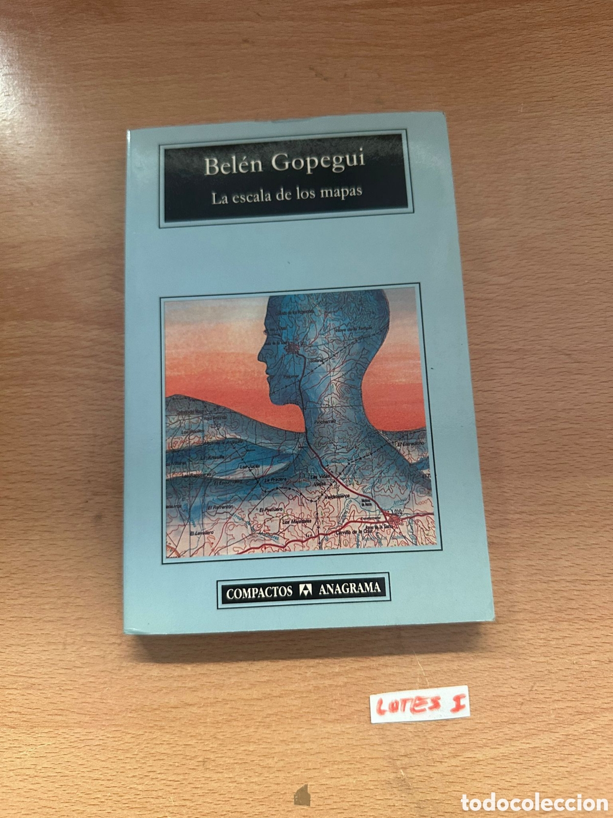 Libros: Bel&eacute;n gopegui la escuela de los mapas - Foto 1