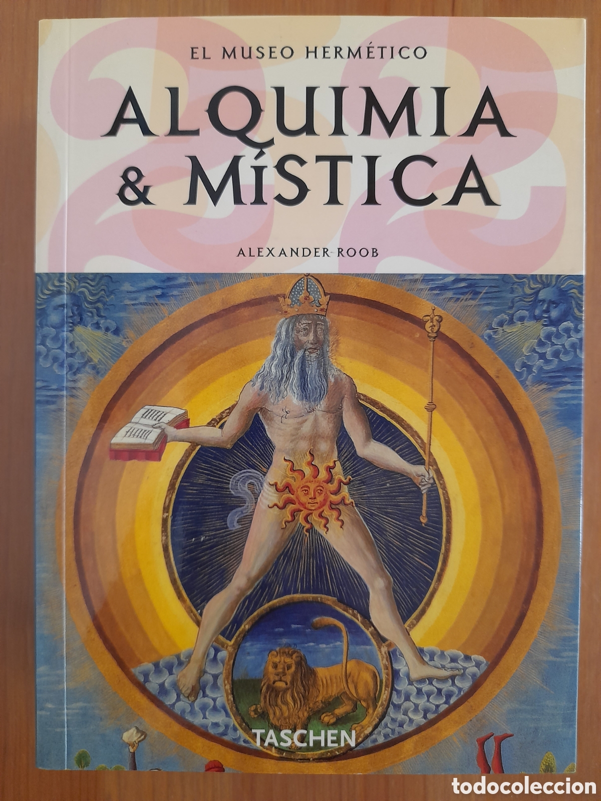 Libros: Alquimia y m&iacute;stica. El museo herm&eacute;tico - Foto 1