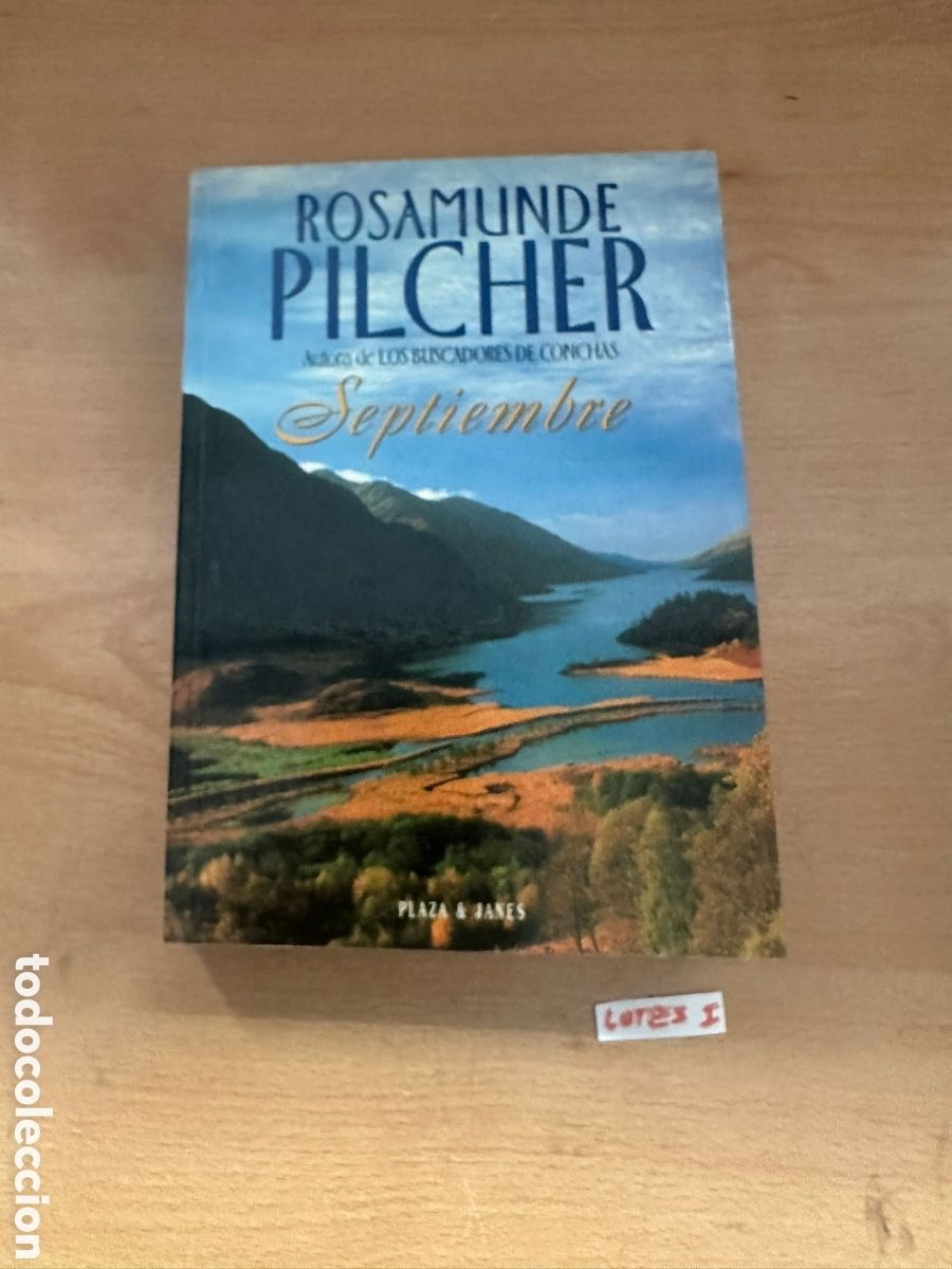 Libros: Rosamunde pilcher novela - Foto 1