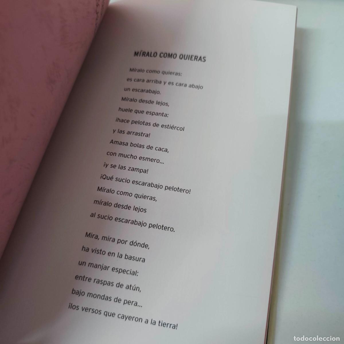 Libros: VERSOS DEL LIBRO TONTO - Foto 7