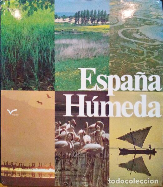 Libros: ARA&Uacute;JO. (J.) et al. - ESPA&Ntilde;A H&Uacute;MEDA. - Foto 1