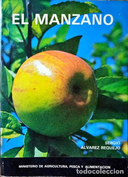 Libros: REQUEJO. (S&eacute;rgio Alvarez) - EL MANZANO. - Foto 1