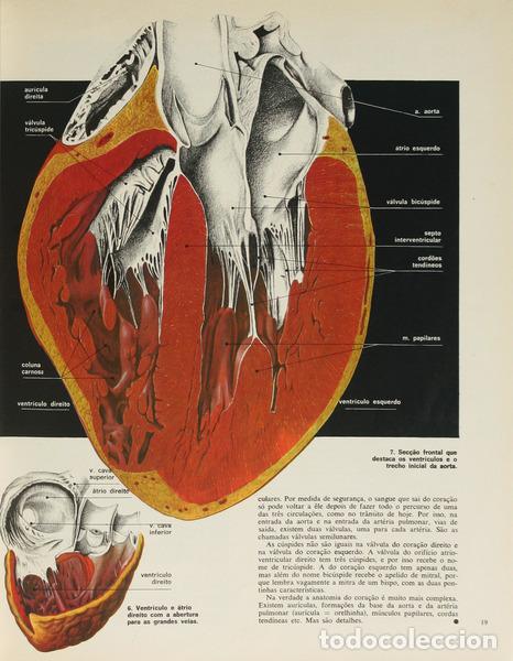 Libri di seconda mano: MEDICINA E SA&Uacute;DE. [10 VOLS.]