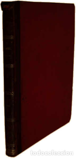 Libros: BRASIL - PORTUGAL, D&Eacute;CIMO ANNO, 1909. - Foto 4