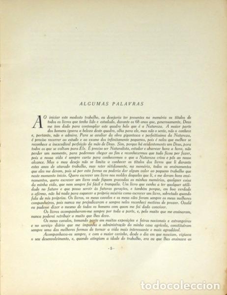 Libros: ERVIDEIRA. (Arthur) - OS MEUS CAVALOS. CAVALOS DE PORTUGAL. - Foto 2