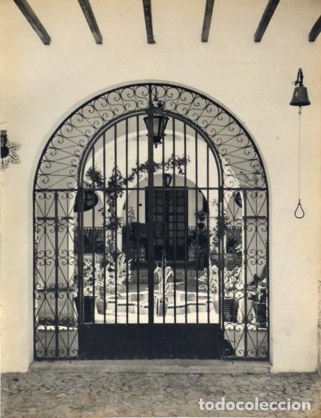 Libros: ERVIDEIRA. (Arthur) - OS MEUS CAVALOS. CAVALOS DE PORTUGAL. - Foto 3
