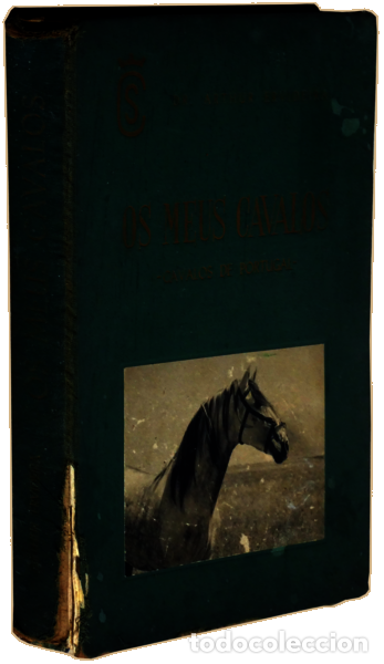 Libros: ERVIDEIRA. (Arthur) - OS MEUS CAVALOS. CAVALOS DE PORTUGAL. - Foto 4