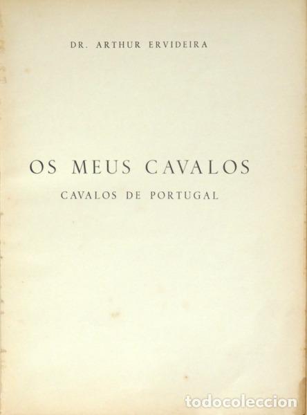 Libros: ERVIDEIRA. (Arthur) - OS MEUS CAVALOS. CAVALOS DE PORTUGAL. - Foto 1