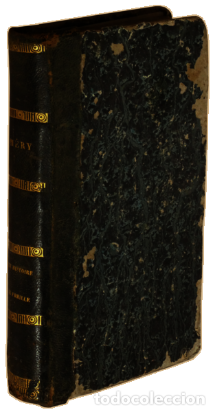 Libros: M&Eacute;RY. - UNE HISTOIRE DE FAMILLE. - Foto 3