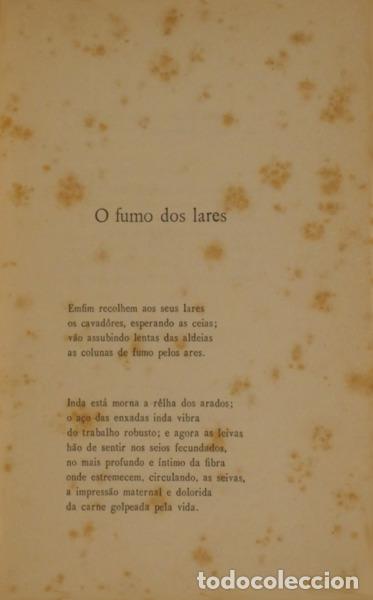 Libros: LOPES VIEIRA. (Afonso) - O P&Atilde;O E AS ROSAS. [ENCADERNADO] - Foto 3