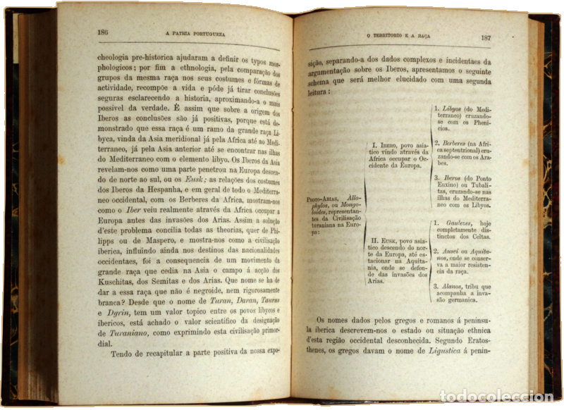 Libros: BRAGA. (Te&oacute;filo) - A PATRIA PORTUGUEZA. - Foto 3