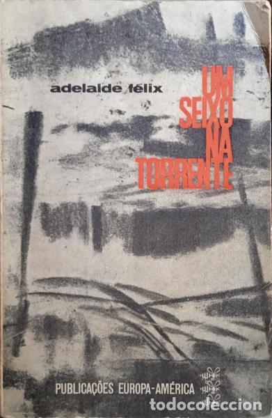Libros: F&Eacute;LIX. (Adelaide) - UM SEIXO NA TORRENTE. - Foto 1