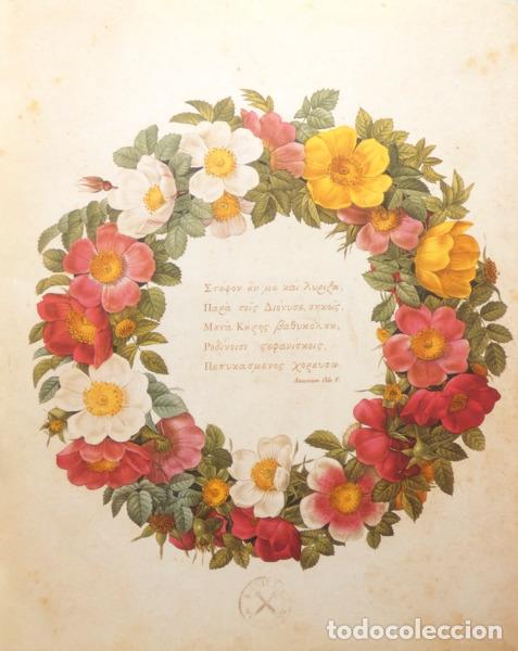 Libros: PIERRE. (Joseph) - THE ROSES. - Foto 2