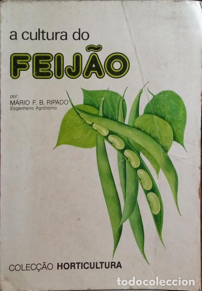 Libros: BENTO RIPADO. (M&aacute;rio F.) - O FEIJ&Atilde;O. - Foto 1