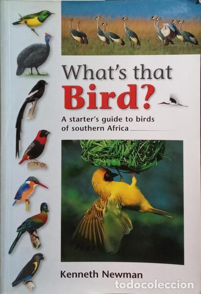 Libros: NEWMAN. (Kenneth) - WHAT&#39;S THAT BIRD? - Foto 1