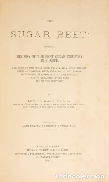 Libros: WARE. (Lewis S.) - THE SUGAR BEET: INCLUIDING A HISTORY OF THE BEET SUGAR INDUSTRY IN EUROPE.