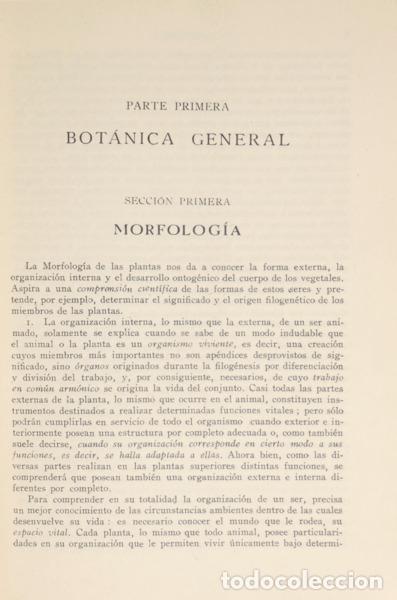 Libros: STRASBURGER. (Eduardo) - TRATADO DE BOT&Aacute;NICA. - Foto 3