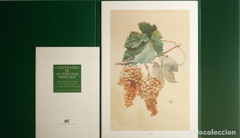 Libros: PRIMEIRO CENTEN&Aacute;RIO DE &laquo;O PORTUGAL VIN&Iacute;COLA&raquo;. - Foto 2
