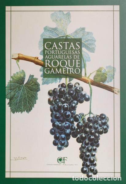 Libros: PRIMEIRO CENTEN&Aacute;RIO DE &laquo;O PORTUGAL VIN&Iacute;COLA&raquo;. - Foto 1