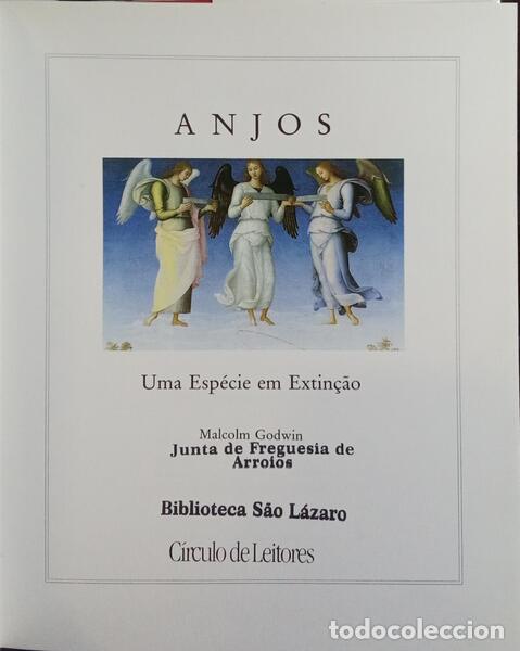 Libros: GODWIN. (Malcolm) - ANJOS, UMA ESP&Eacute;CIE EM EXTIN&Ccedil;&Atilde;O. - Foto 2