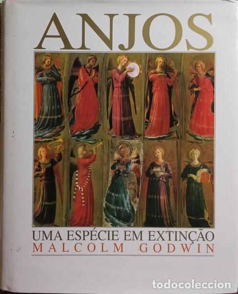 Libros: GODWIN. (Malcolm) - ANJOS, UMA ESP&Eacute;CIE EM EXTIN&Ccedil;&Atilde;O. - Foto 1