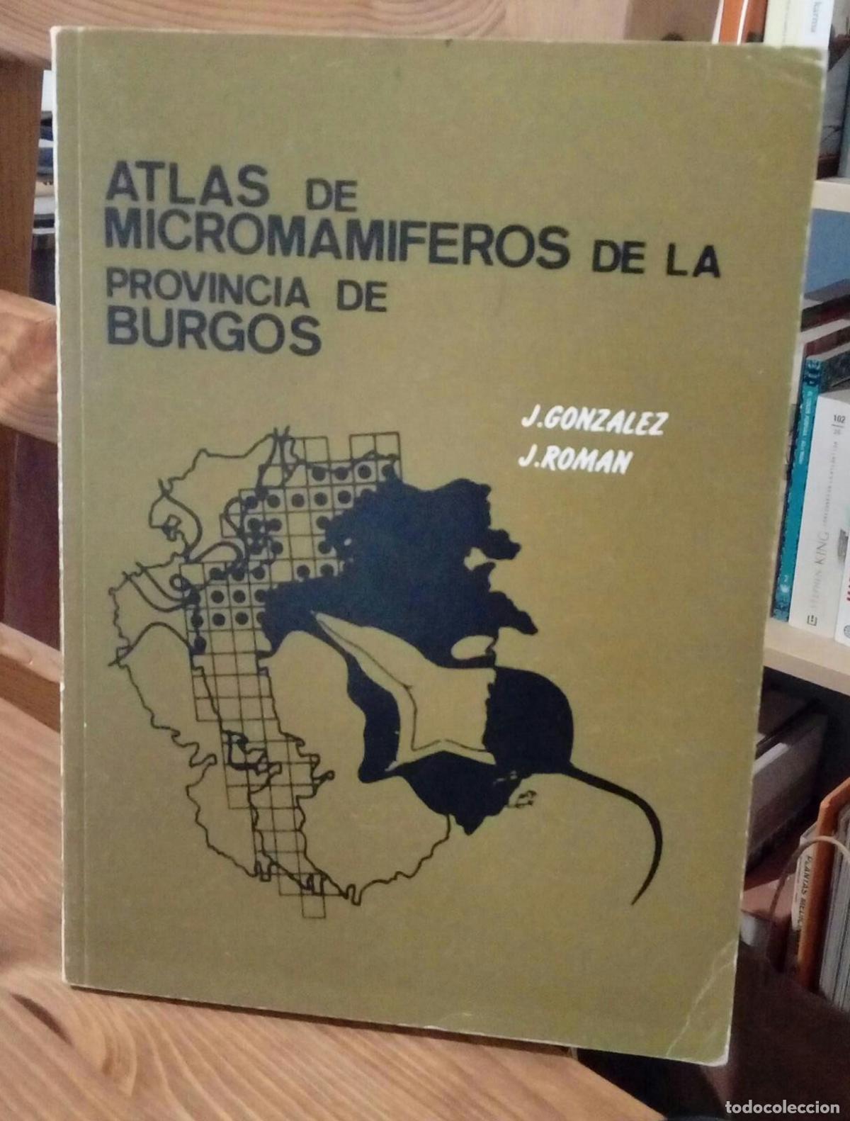 Libri di seconda mano: Atlas de micromam&iacute;feros de la provincia de Burgos - Gonz&aacute;lez, Jorge (Gonz&aacute;lez Esteban)
