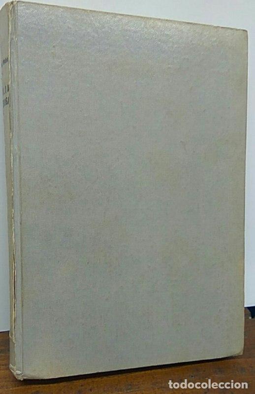 Libros: Familia numerosa - Walsh, William E. - Foto 1