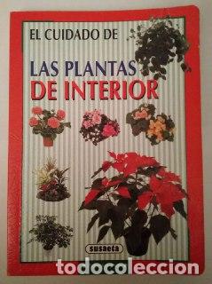 Libros: El cuidado de las plantas de interior. - Doblado Castro, Ana. tr. - Foto 1