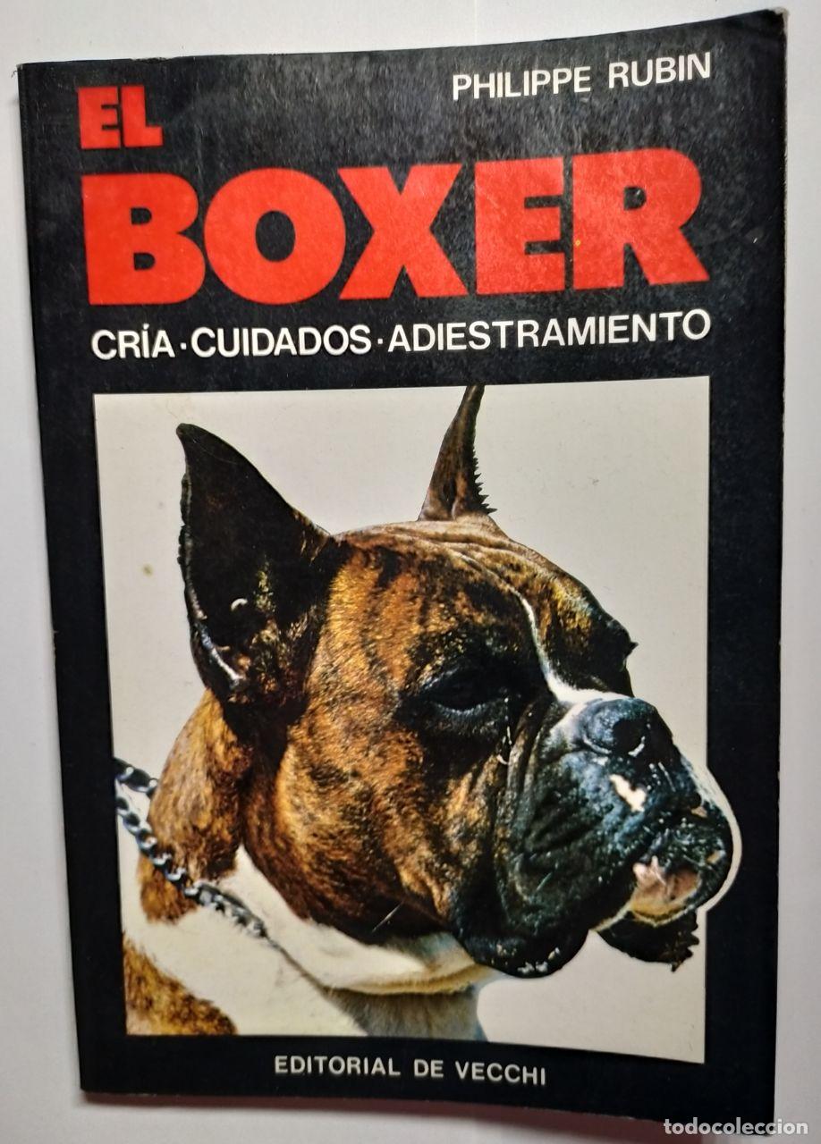 Libros: El boxer. - Rubin, Phillipe - Foto 1