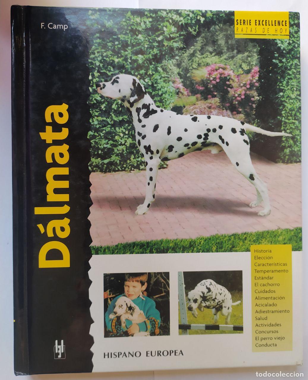Libros: D&aacute;lmata - Camp, Frances George, David N. M. (1971-) . tr. - Foto 1