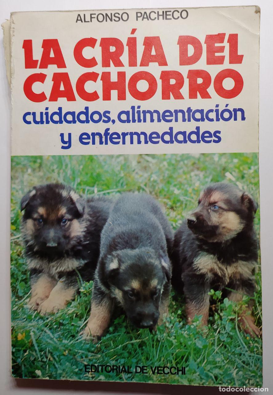Libros: La cr&iacute;a del cachorro. - Pacheco, Alfonso - Foto 1