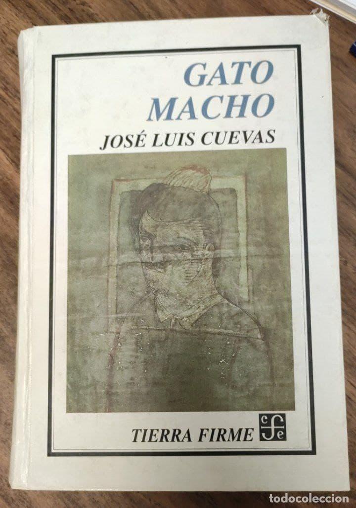 Libros: GATO MACHO - CUEVAS, Jos&eacute; Luis - Foto 1