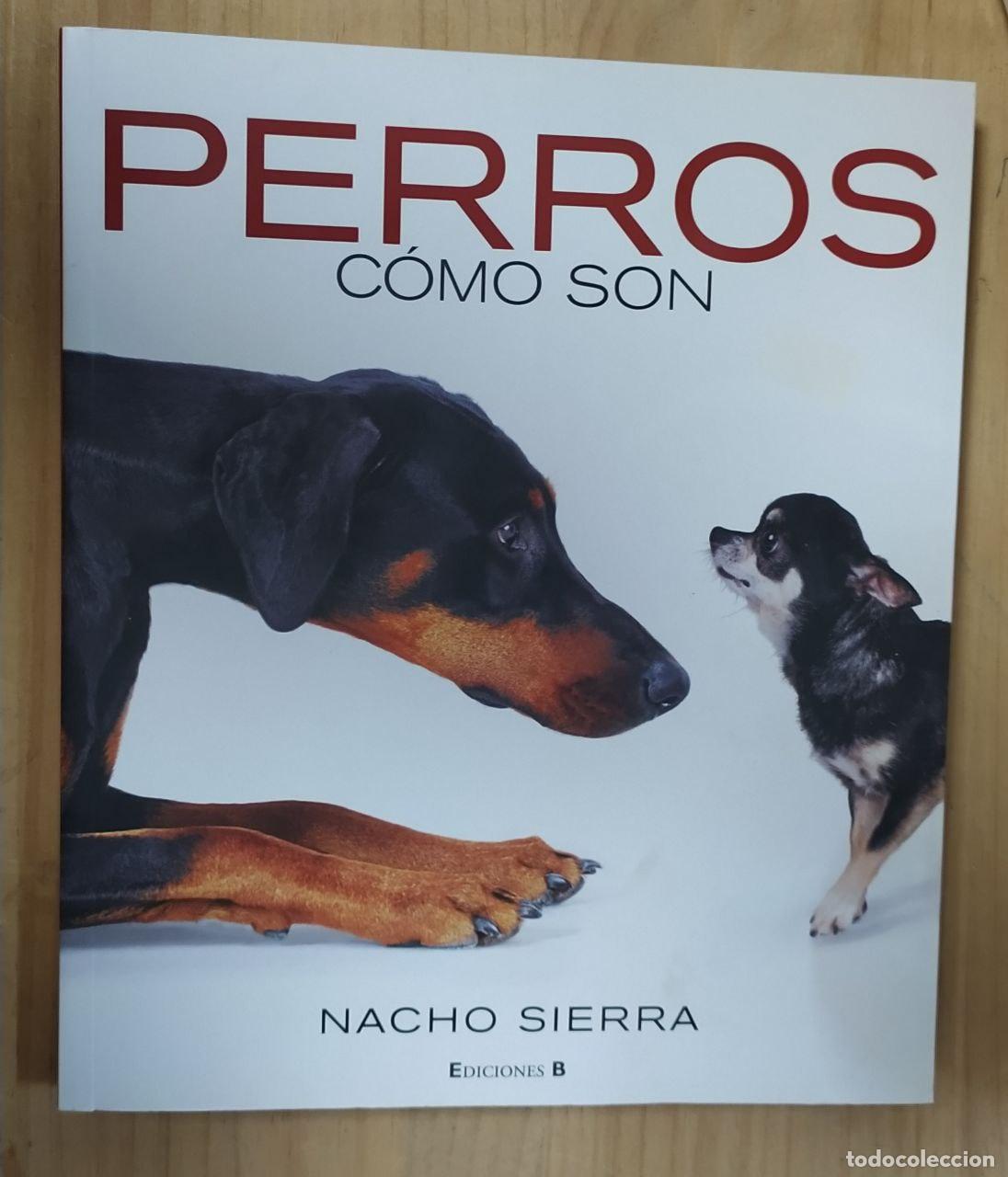 Libros: Perros, c&oacute;mo son - Sierra Mart&iacute;nez, Ignacio - Foto 1