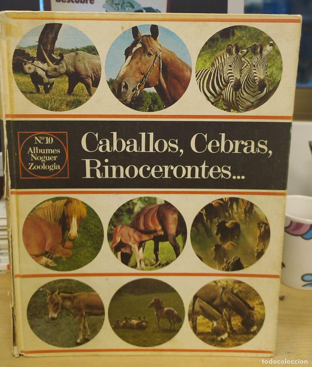 Libros: Caballos, Cebras, Rinocerontes... - VV.AA. - Foto 1