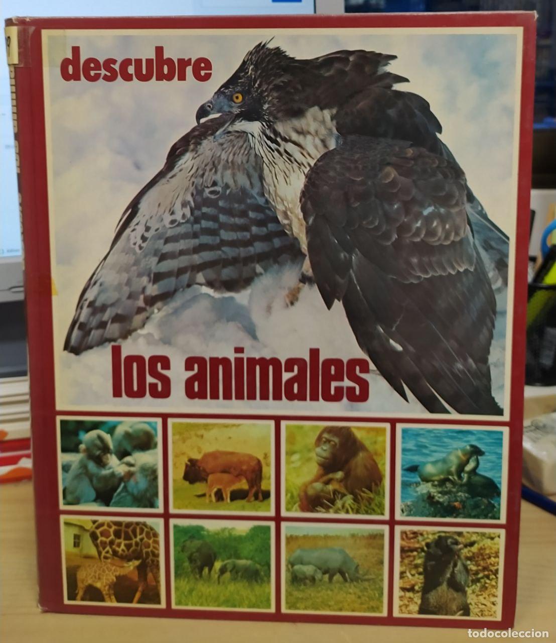 Libros: Descubre los animales - Lapuente, Julio . tr. - Foto 1