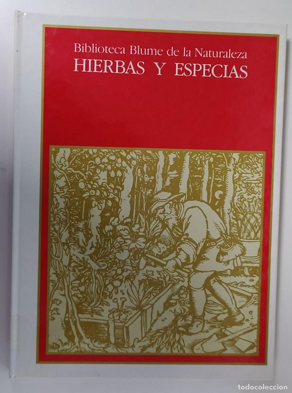 Hierbas y especias. - Root, Waverly[Pujades, Joan] tr.