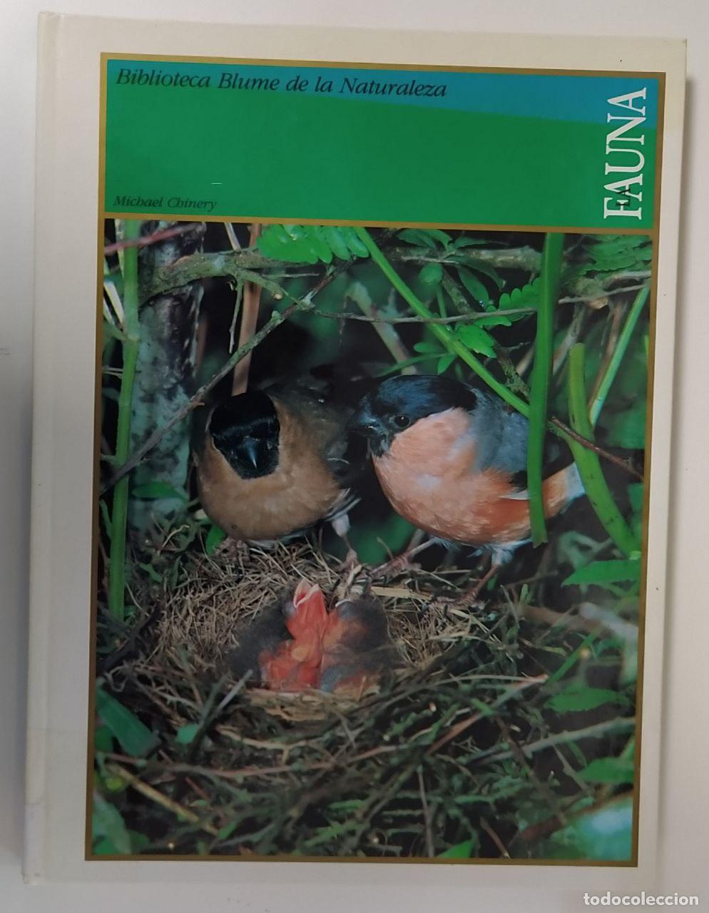 Libros: La fauna. - Chinery, Michael (1938-)[Baixeda, Ignacio] tr. - Foto 1