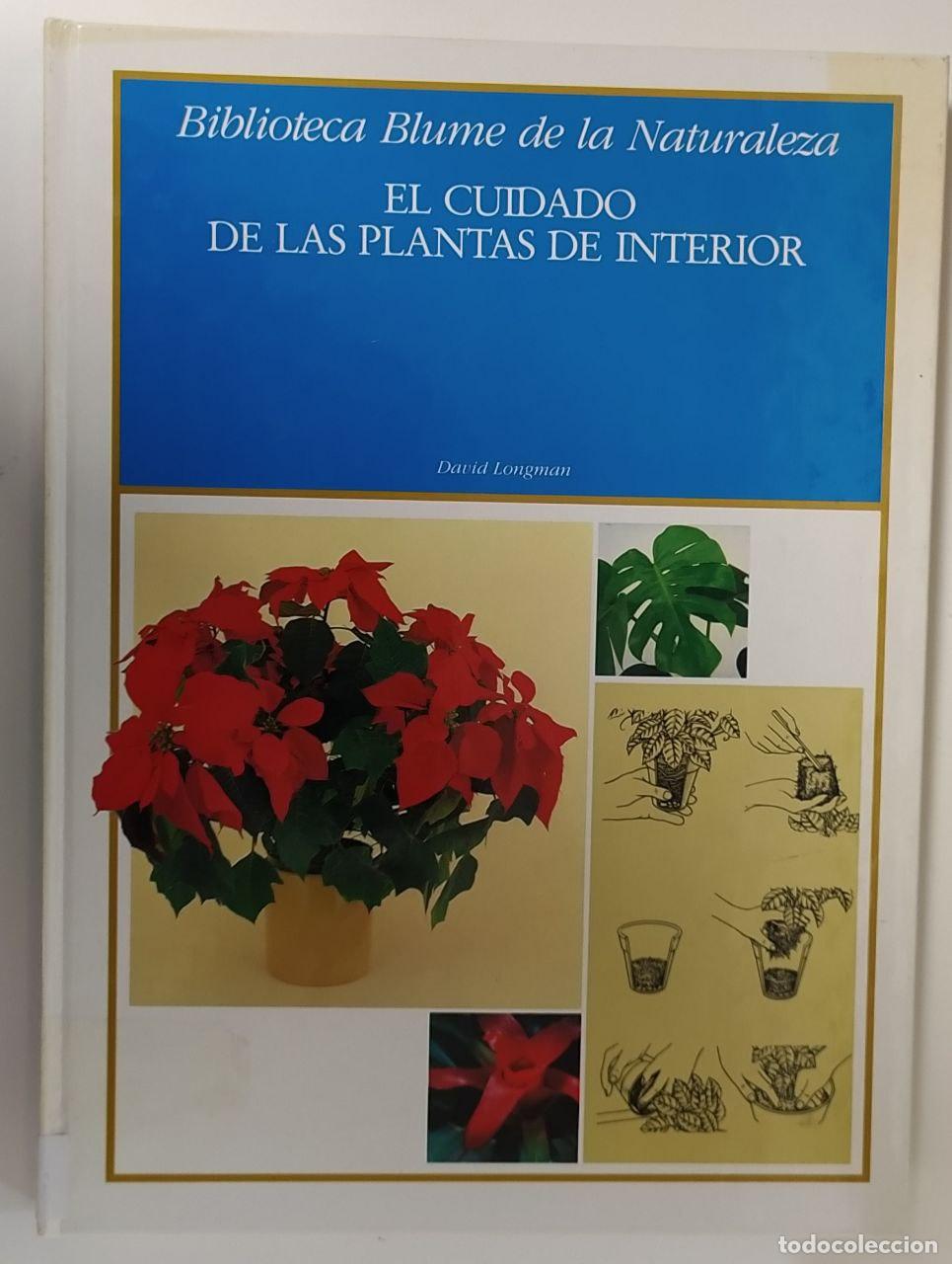 Libros: El cuidado de las plantas de interior - Longman, David - Foto 1